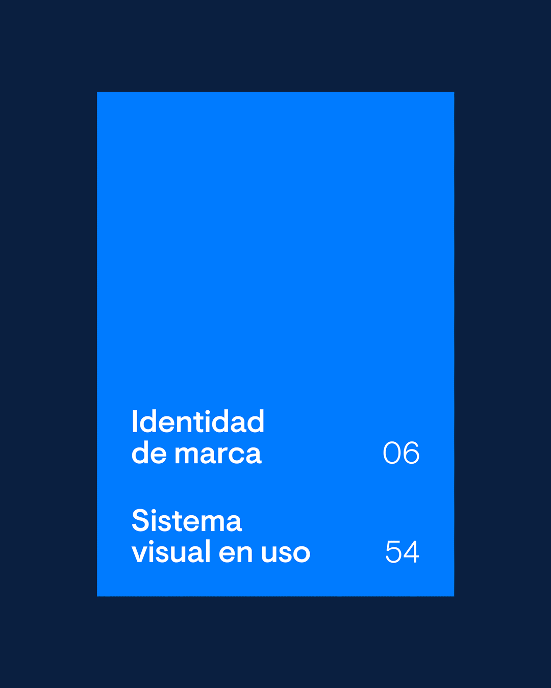 Animation showing the inside pages of the Intelec's brand guidelines designed by Brandom